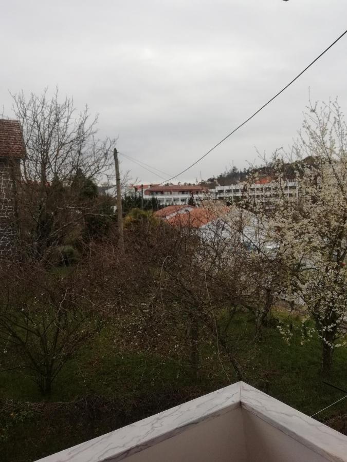 Hospedaria Nunes Pinto Termas de São Pedro do Sul Eksteriør billede